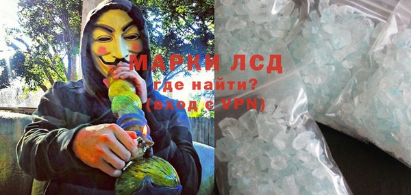 ПСИЛОЦИБИНОВЫЕ ГРИБЫ Абаза