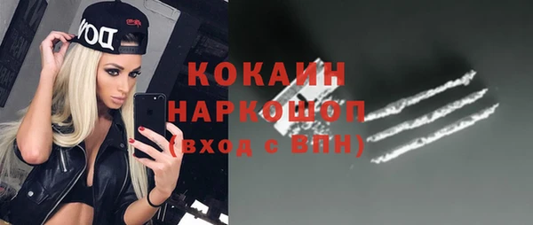 ПСИЛОЦИБИНОВЫЕ ГРИБЫ Абаза