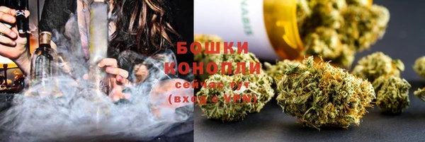 ПСИЛОЦИБИНОВЫЕ ГРИБЫ Абаза