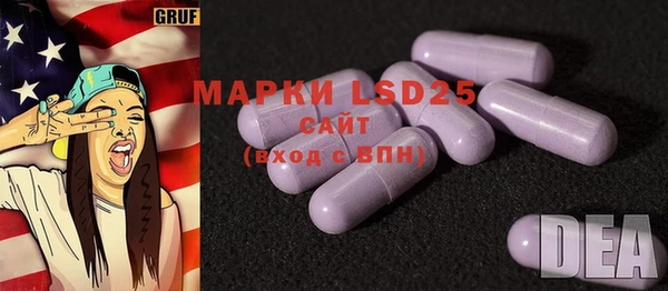 ПСИЛОЦИБИНОВЫЕ ГРИБЫ Абаза