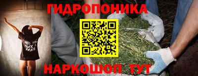 apvp Свободный
