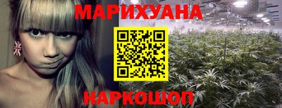 apvp Свободный
